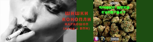 мескалин Богданович