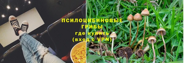 ALPHA PVP Богородск