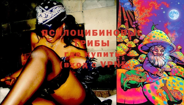 тгк Богородицк