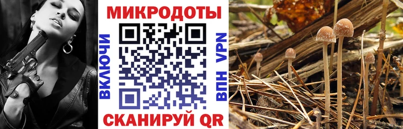 Галлюциногенные грибы MAGIC MUSHROOMS  что такое наркотик  Раменское 