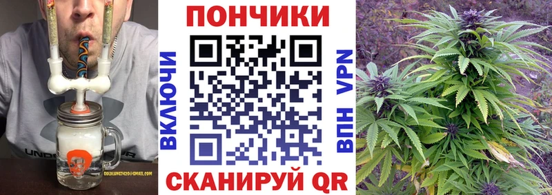 Бошки марихуана OG Kush купить наркотики цена Раменское